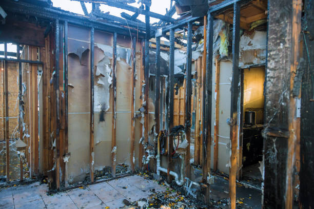 Professional Fire Board Up technician working in Fort Myers, FL